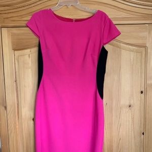 Cynthia Steffe Pink and Black Sheath Dress SZ 12